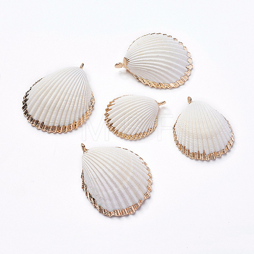 Shell Pendants SHEL-P075-03-1