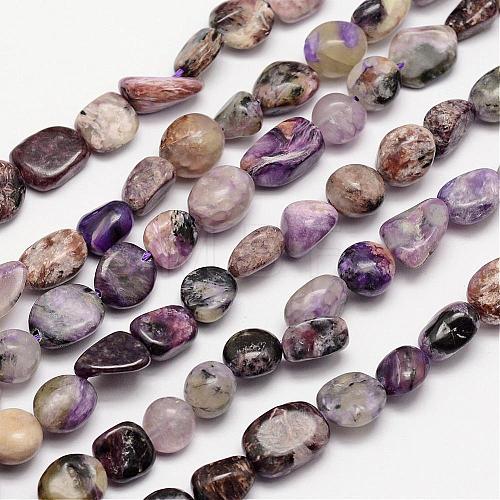 Natural Charoite Bead Strands G-L459-02-1