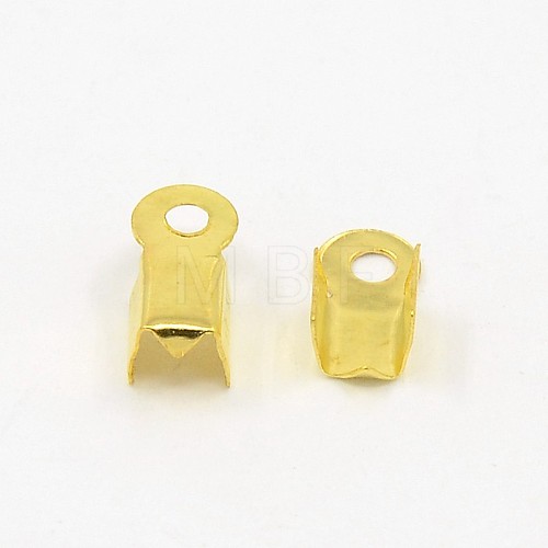 Iron Folding Crimp Ends X-E033Y-G-1