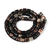 Natural Biotite Beads Strands G-T141-88A-2
