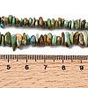 Natural HuBei Turquoise Bead Strands G-H345-A01-04-5