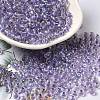 6/0 Transparent Colours Glass Seed Beads SEED-P006-01A-14-1