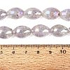 Handmade Lampwork Beads Strands LAMP-N037-04E-4