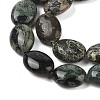 Natural Serpentine Beads Strands G-I231-01-4