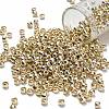 TOHO 6/0 Round Beads SEED-TR06-PF0558-1