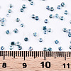 6/0 Glass Seed Beads SEED-A016-4mm-217-3
