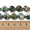 Natural Tree Agate Beads Strands G-NH0015-D04-01-5