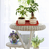 Plastic Planters Tray AJEW-WH0643-057-6