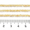 Natural Citrine Beads Strands G-Z074-A03-01-5