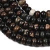 Natural Biotite Beads Strands G-L647-D05-4x6mm-4