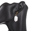 Rectangle Natural Baroque Pearl Keshi Pearl Dangle Stud Earrings EJEW-JE07002-2