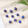 16Pcs 4 Styles September Birthstone Natural Lapis Lazuli Pendant and Connector Charms PALLOY-SW00117-3