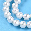 Natural Nucleated Pearl Beads Strands PEAR-N016-04A-4