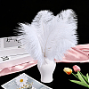 72Pcs 3 Styles Ostrich Feather Craft for Wedding Party Centerpieces Home Decoration DIY-GA0009-95-4