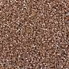 MIYUKI Delica Beads SEED-MY11-DB1221-3