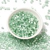 Glass Seed Beads SEED-H002-D-A805-2