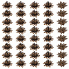 40Pcs Brass Bead Caps KK-PH0015-25AB-1