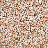 Baking Paint Glass Seed Beads SEED-C003-01Q-2