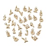 Brass & PVC Pendants PL-XCP0001-01G-1