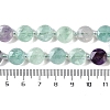 Natural Fluorite Beads Strands G-N342-04-5