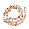 Natural Herkimer Diamond Beads Strands G-Z115-C03-6mm-4