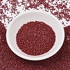 MIYUKI Delica Beads SEED-J020-DB2354-2