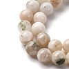 Natural White Moonstone Beads Strands G-I388-01-8mm-4