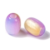 Triple Color Resin European Beads RESI-F055-13I-2