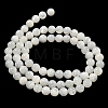 Natural Sea Shell Beads Strands SSHEL-K013-6mm-A-3