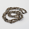 Natural Labradorite Chips Beads Strands LS-F069-3