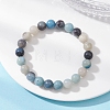 Round Natural Trolleite Beads Stretch Bracelets for Women BJEW-JB12731-1