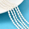 Natural Cultured Freshwater Pearl Beads Strands PEAR-I007-01O-01A-1