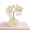 Natural Yellow Quartz Sculpture Display Decorations PW-WGC5A46-02-1