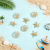 12Pcs 2 Styles Resin Alligator Hair Clips PHAR-UN0001-02-2