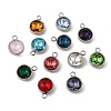 12Pcs Birthstone Theme 304 Stainless Steel Pendants STAS-G082-17P-1