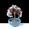 Natural & Synthetic Mixed Gemstone Chips Tree of Life Decorations with Bowl Base PW-WG1DC7A-13-1