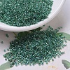 MIYUKI Delica Beads SEED-J020-DB0060-1