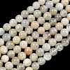 Natural White Moonstone Beads Strands G-C277-A01-10mm-2
