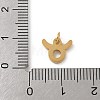 304 Stainless Steel Charms STAS-R001-04G-02-3