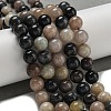 Natural Scorzalite Beads Strands G-B099-C04-04-2