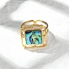 Square 304 Stainless Steel Paua Shell Cuff Rings for Women RJEW-G346-03G-01-2