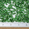 MIYUKI Round Rocailles Beads X-SEED-G007-RR0016-4