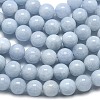 Natural Malaysia Jade Beads Strands G-L645-A01-10mm-16-4