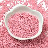 Baking Paint Glass Seed Beads SEED-P006-03A-02-2