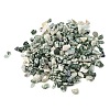 Natural Green Spot Jasper Chip Beads GG-CBABB01-02-1