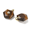Natural Tiger Eye Faceted Pendants GG-CBA67BD-01G-L-2