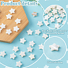 60Pcs Natural Shell Beads Strands SHEL-PH0002-30-4