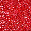 Opaque Baking Paint Glass Seed Beads SEED-T008-02K-3