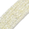 Natural Trochid Shell/Trochus Shell Beads Strands BSHE-G038-01-1