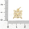 Brass Micro Pave Clear Cubic Zirconia Charms KK-G522-37G-3